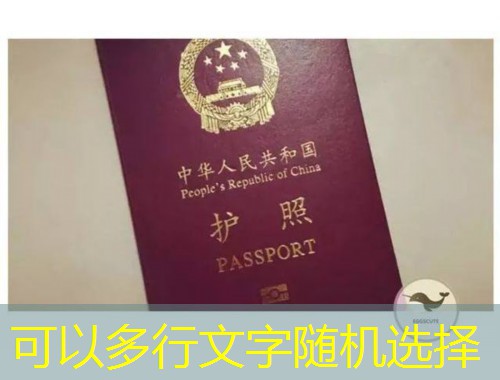 厄瓜多尔移民中介：如何用一张“小国护照”撬动全家自由？